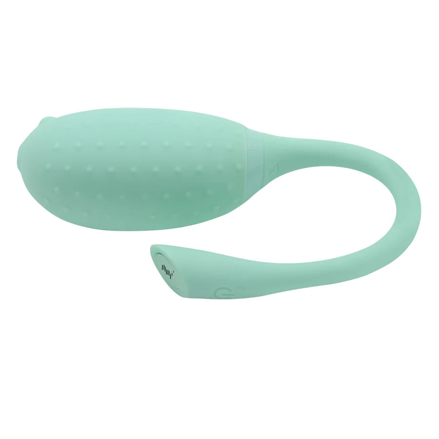 Vibrador a Distancia con App - Magic Fugu